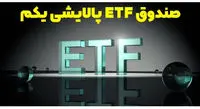 سود پالایش یکم غیرسجامی ها و حقوقی ها پرداخت می شود