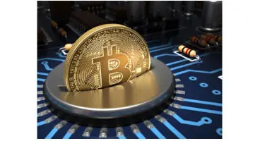 با کود حیوانی بیت کوین استخراج کنید!