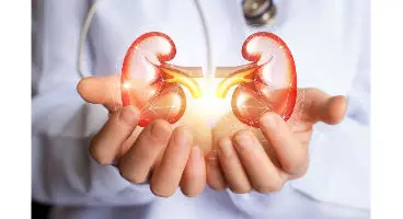 چگونه سلامت کلیه‌های خود را تضمین کنیم؟