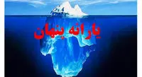 این افراد بیشترین سهم یارانه را می گیرند