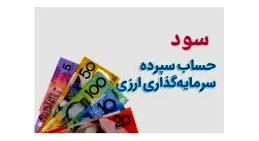 پرداخت سود نقدی ارزی به سپرده‌های ارزی با منشأ اسکناس در بانک‌ها+نرخ سود سپرده های ارزی