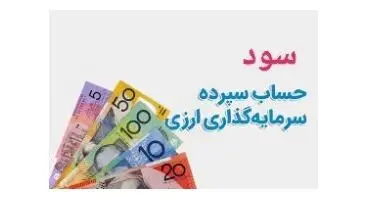 پرداخت سود نقدی ارزی به سپرده‌های ارزی با منشأ اسکناس در بانک‌ها+نرخ سود سپرده های ارزی