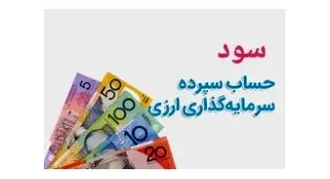 پرداخت سود نقدی ارزی به سپرده‌های ارزی با منشأ اسکناس در بانک‌ها+نرخ سود سپرده های ارزی