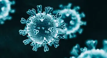 این علائم خبر از مبتلا شدن کودک به آبله میمون می دهد