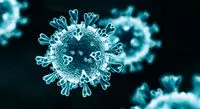 این علائم خبر از مبتلا شدن کودک به آبله میمون می دهد