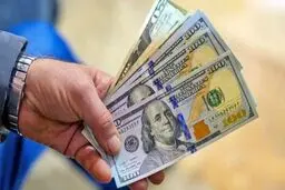 دلارهای خانگی به بانک‌ها می‌روند؟/ رونمایی از ابزار جدید ارزی بانک مرکزی
