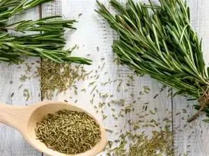 گیاه معطری که شما را باهوش‌تر می‌کند