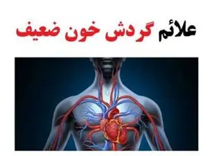 علائم و نشانه‌های گردش خون ضعیف را بشناسید