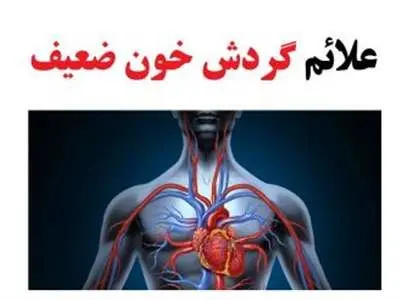 علائم و نشانه‌های گردش خون ضعیف را بشناسید