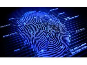 ۶ حقیقت خواندنی درباره اثر انگشت