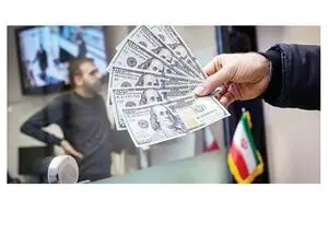 دلارهای خانگی در معرض خطر