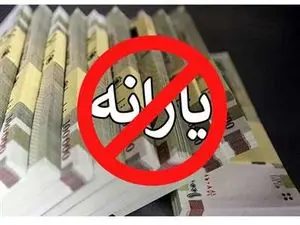 چرا یارانه نقدی دی ۱۴۰۲ برخی افراد واریز نشده است؟