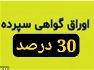 عرضه گواهی سپرده خاص با سود ۳۰ درصد از فردا در بانک سینا/ سود ماهانه پرداخت میشود