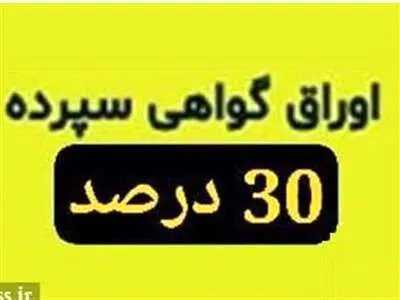 عرضه گواهی سپرده خاص با سود ۳۰ درصد از فردا در بانک سینا/ سود ماهانه پرداخت می‌شود