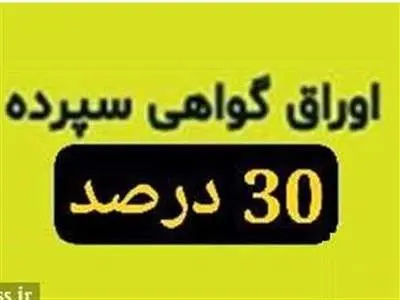 عرضه گواهی سپرده خاص با سود ۳۰ درصد از فردا در بانک سینا/ سود ماهانه پرداخت می‌شود