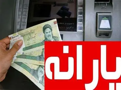 روش دریافت یارانه تشویقی /   این یارانه برای کدام کالاها قابل استفاده است؟