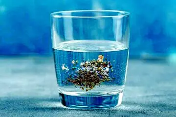 چگونه میکروپلاستیک ها را از آب آشامیدنی از بین ببریم؟