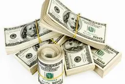 موج تازه دلارهای تقلبی در بازار کشور/خریداران این توصیه‌ها را جدی بگیرند