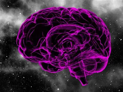وقتی هیچ کاری انجام نمی‌دهید، مغزتان چه کار می‌کند؟