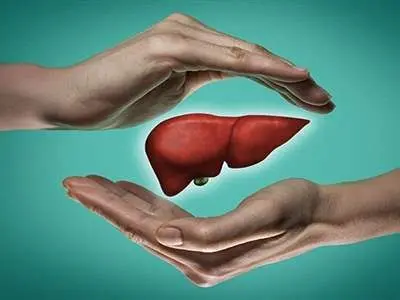 خواص این ۵ میوه برای سلامت کبد