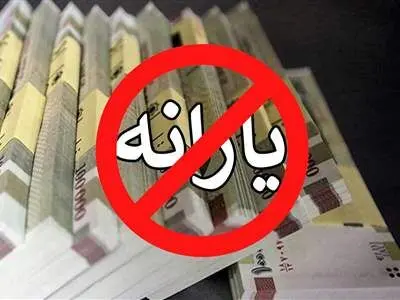 یارانه به این خانوارها تعلق نمی‌گیرد/ راه‌حل چیست؟