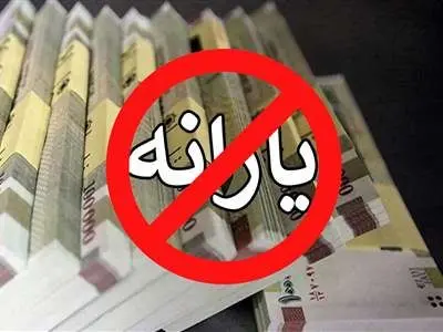 یارانه به این خانوارها تعلق نمی‌گیرد/ راه‌حل چیست؟