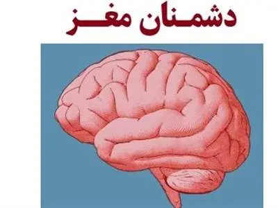 این خوراکی‌ها دشمن مغز هستند