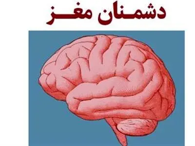 این خوراکی‌ها دشمن مغز هستند