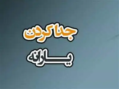 چگونه یارانه خود را تفکیک کنیم؟