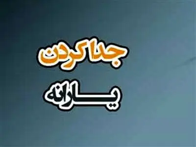چگونه یارانه خود را تفکیک کنیم؟