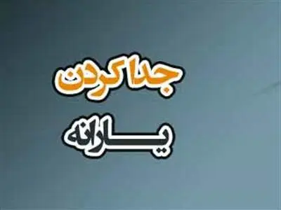 چگونه یارانه خود را تفکیک کنیم؟
