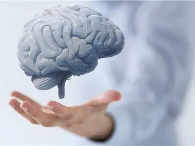 کمبود این ویتامین سبب کوچک شدن مغز می‌شود
