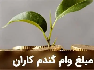 شرایط ویژه افراد برای دریافت وام بسته گندم+ مبلغ و مدت زمان بازپرداخت