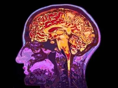 ۵ راهکار ساده و مفید که مغزتان سالم و جوان بماند