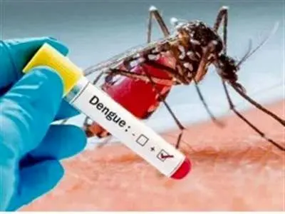 هشدار؛ تب دنگی به ۷ استان‌ کشور رسید+ اینفوگرافیک
