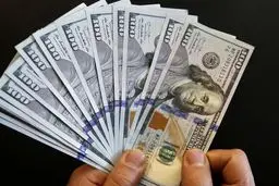 سیاست‌های غلط ارزی دلار را ۲۰ برابر کرد