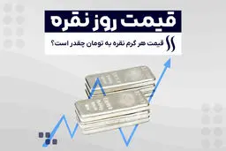 سقف قیمتی نقره اعلام شد/هر گرم نقره در بازار چند؟ 