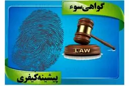 سوء پیشینه شامل چه جرایمی است؟