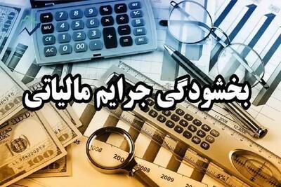 فرصت طلایی پرداخت مالیات بدون جریمه!