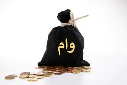 پرداخت  وام به مشتریان در اسفندماه متوقف شد؟