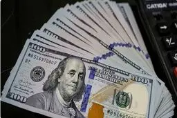 دستیار همتی به انتقادات درباره دلار فروشی پاسخ داد / برای کسب سود خریدوفروش نمی‌کنیم