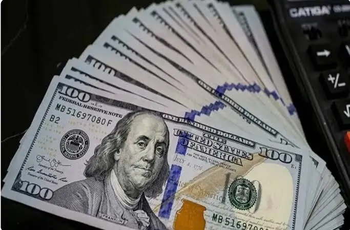 دستیار همتی به انتقادات درباره دلار فروشی پاسخ داد / برای کسب سود خریدوفروش نمی‌کنیم