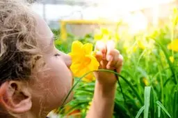 5 حقیقت  شگفت‌انگیز درباره حس بویایی