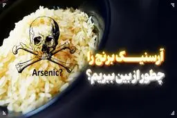 برنج آلوده نخورید/ 4 روش‌ ساده برای کاهش آرسنیک در برنج