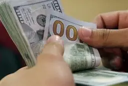  حجاج چقدر ارز دریافت می کنند و با چه نرخی؟ 