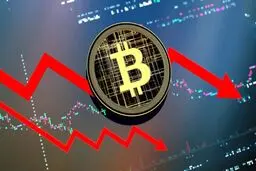 پیش‌بینی سقوط شدید بیت‌کوین تا ۲۰,۰۰۰ دلار 