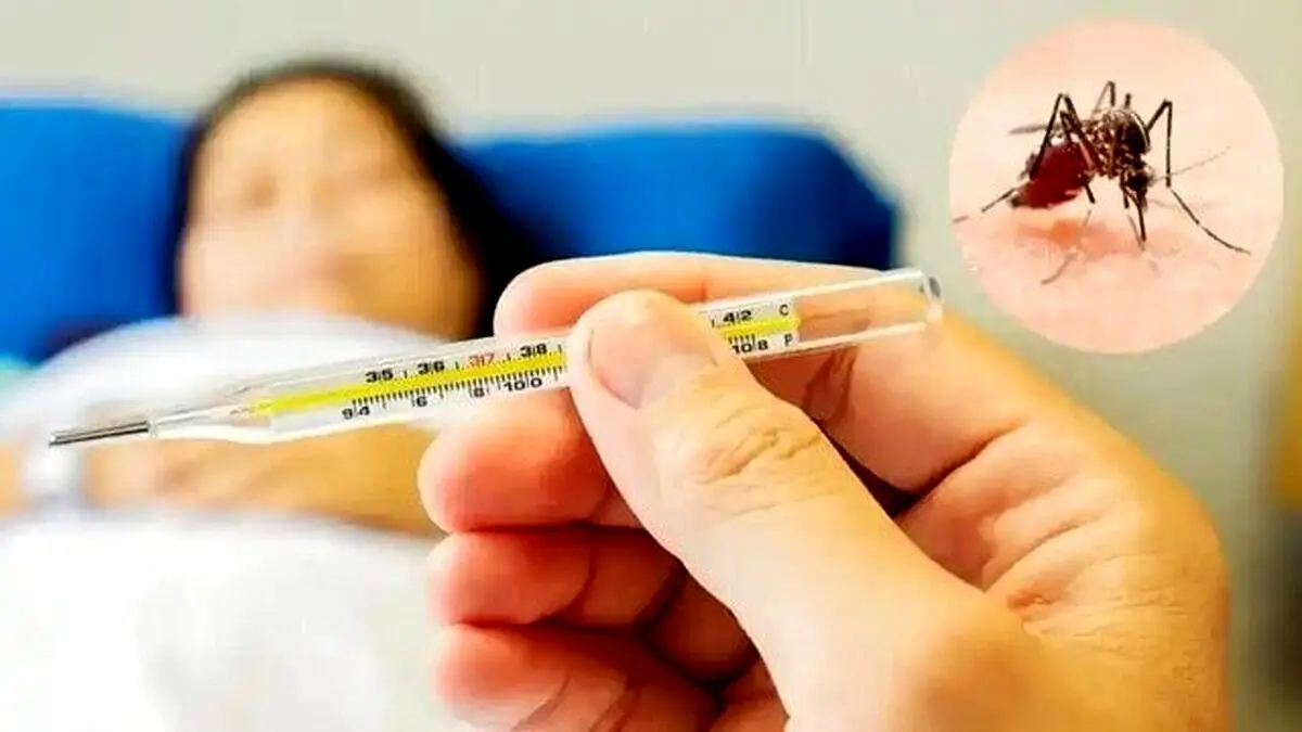 تب دنگی چقدر خطرناک است؟/ افراد زیر نوع شدید دنگی را می‌گیرند