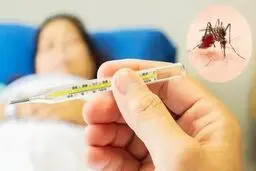 تب دنگی چقدر خطرناک است؟/ افراد زیر نوع شدید دنگی را می‌گیرند