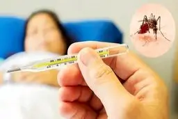 تب دنگی چقدر خطرناک است؟/ افراد زیر نوع شدید دنگی را می‌گیرند