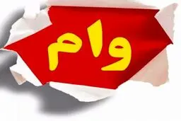 ماجرای وام جدید دولت به مردم/ این وام به چه کسانی داده می شود؟